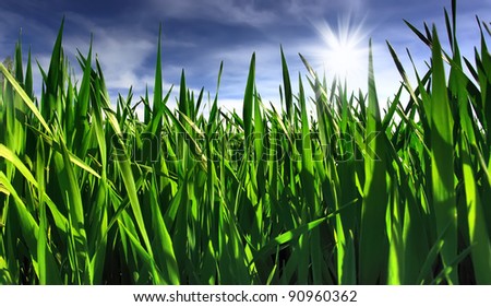 Similar – Image, Stock Photo agriculture Close-up