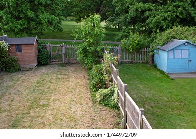 The grass is always greener on the other side - two neighboring gardens, one with fresh and lush green grass, the other with dried out yellow grass