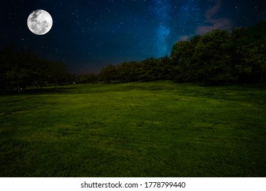 Grass Background with Night Vision