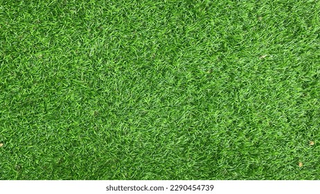 Grass for background take pic by phone - Shutterstock ID 2290454739