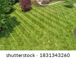 Grass background and texture great for adding green grass to real estate photos