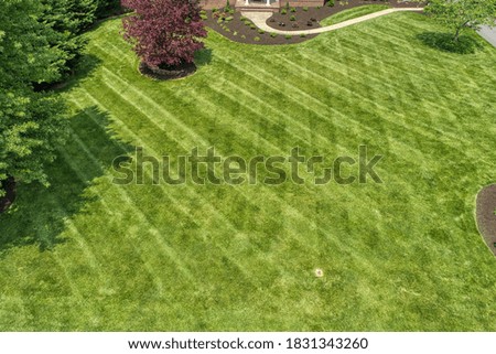 Grass background and texture great for adding green grass to real estate photos
