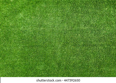 grass background texture,green lawn top view