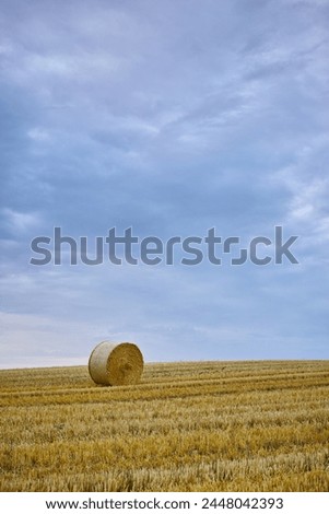 Similar – Foto Bild Wolkenformation die wie ein Vogel aussieht über einem abgeernteten Feld mit Strohballen.