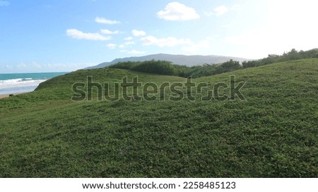 Grass and beach of Ujung Kulon Indonesia