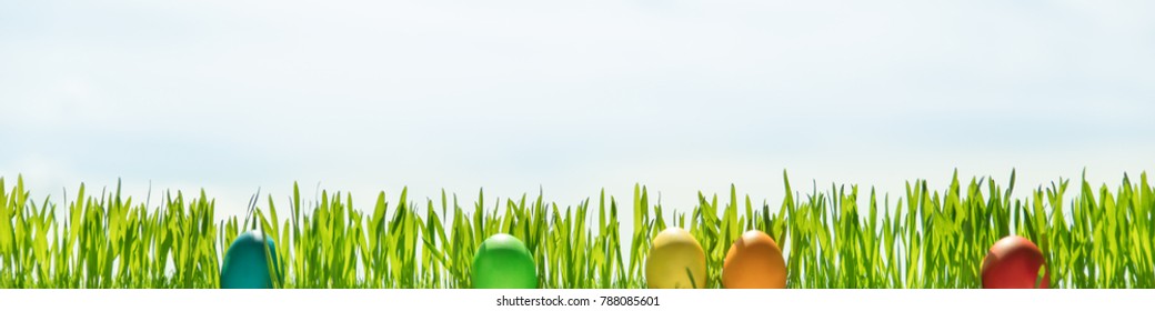 Grass Blades And Easter Eggs In Front Of Blue Sky, Header With Copyspace