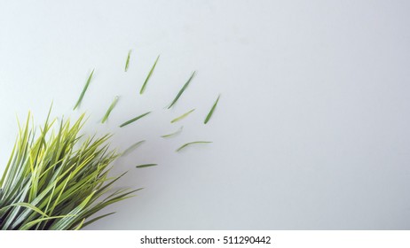 Grass Blown Away With The Wind On White Background