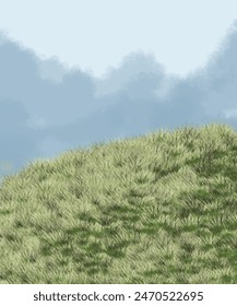 a grass with blue clouds background