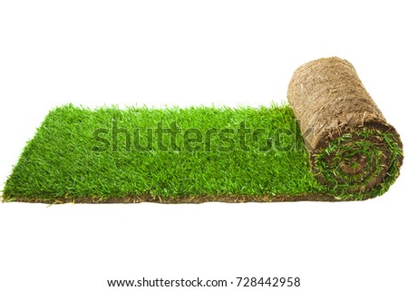 Grass Carpet Roll Isolated on White Background. The stacking of roll green lawn grass
