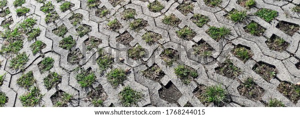 Grass and cement pavement. Eco parking\
texture background.