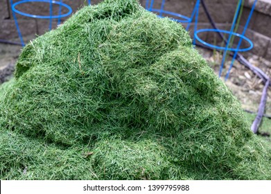 Grass Clipping For Mulch And Compost In Pile