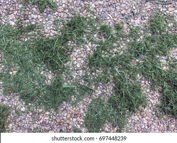 Grass Clippings On A Gravel Pavement