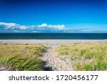 The grass covered sand dunes leading to race point beach on the cape cod national seashore in massachusetts. on a sunny blue sky day.