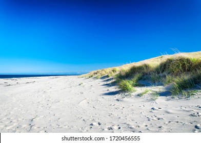 Cape Cod Sand Dune Images Stock Photos Vectors Shutterstock