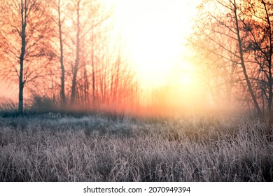 The grass is covered with white frost in the early morning. The shining of the sun in the fog. The transition from autumn to winter.  - Powered by Shutterstock