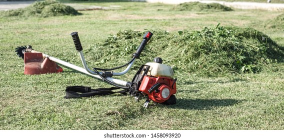 Grass cutter / brush cutter placing on grass field.