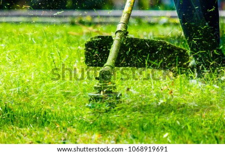 grass cutting in the garden with trimmer. lovely nature background