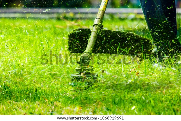 grass cutting in the garden with trimmer.\
lovely nature background