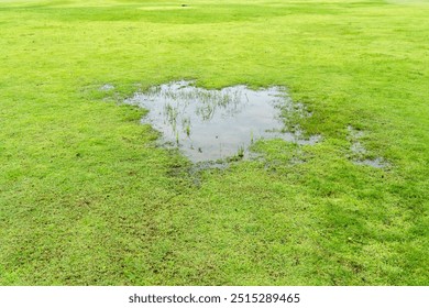 Grass died becauseYard Drainage Problems and Waterlogged lawns.