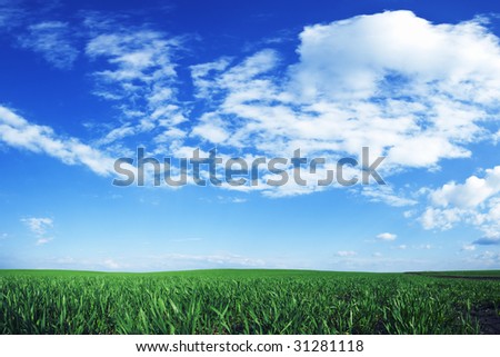 Grass field and the cloudscape - 22 megapixels