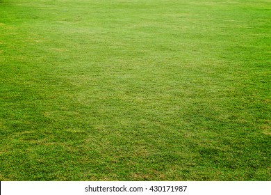  grass field for football, Green meadow  texture for background
