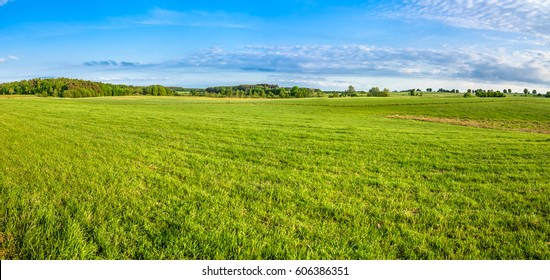 Grass Field, Green Spring Landscape, Panoramic Vista