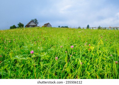 grass field in the mountains 