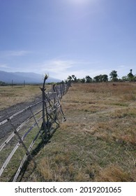 grass field with mountains background
