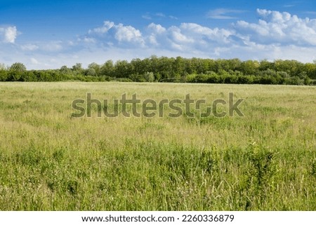 Grass field, set aside, a fallow field, uncultivated, with its typical green color, at spring, with some trees blooming and blossoming in Voivodina, the most agricultural part of Serbia.
