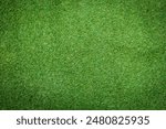 Grass Field Top View Texture Background. Pattern image and Clean lawn HD