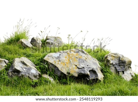 grass fields meadow with rocks isolated on white background