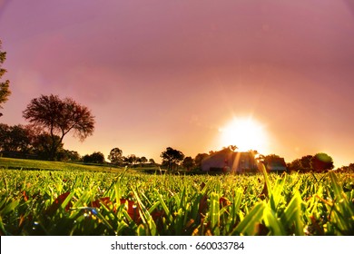 Grass Filled With Dew On A Sunrise Morning 