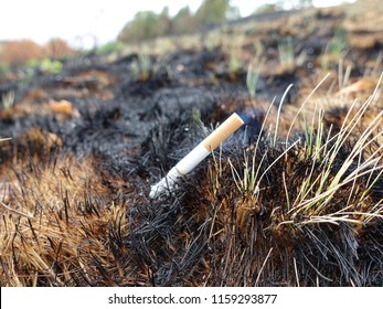 A Grass Fire Caused By A Discarded Cigarette.