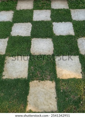 grass floor between block paving stones. background of square stone tiles and natural green grass in the garden