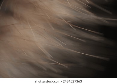 grass floret pollen abstract wallpaper macro yellow soft focus - Powered by Shutterstock