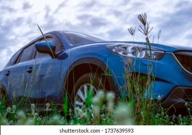 Grass flower with green leaves on blurred low angle view of blue SUV car. Luxury SUV car parked outside with white sky and clouds. Road trip travel in summer vacation. Car parked in grass field. - Powered by Shutterstock