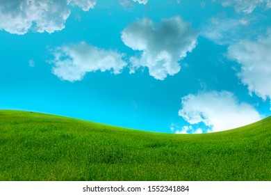 Grass flower in soft focus and blurred with style for background. Green grass field on small hills and blue sky with clouds. nature background - Shutterstock ID 1552341884