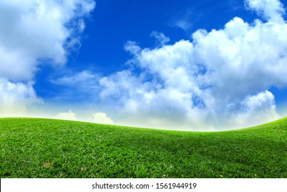 Grass flower in soft focus and blurred with style for background. Green grass field on small hills and blue sky with clouds. nature background - Shutterstock ID 1561944919