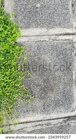 Similar – Image, Stock Photo green ways (1) Pave Furrow