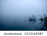 Grass in the fog on the river at autumn morning.