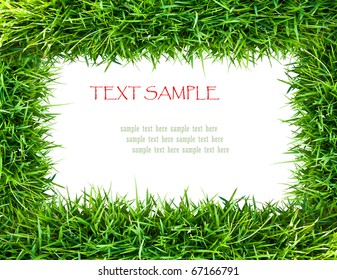 Grass Frame With Space For Your Text