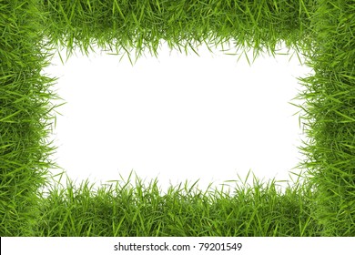 Grass Frame In White Background