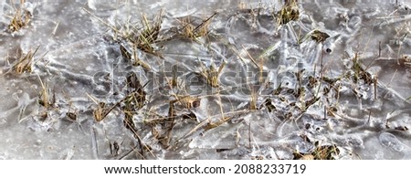 Grass frozen in ice as background. Nature in winter