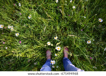 Grass green natural background and female legs , fresh