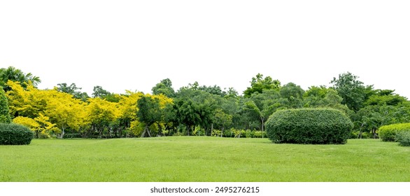 Grass and green trees city park isolated on transparent background, PNG File