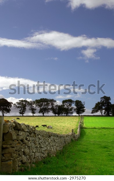 The
grass is greener on the other side of the wall
...