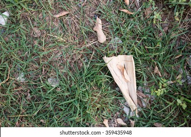 grass ground.