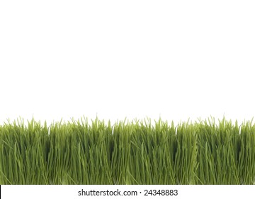 29,732 Grass bottoms Images, Stock Photos & Vectors | Shutterstock