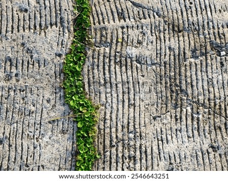 Similar – Image, Stock Photo green ways (1) Pave Furrow