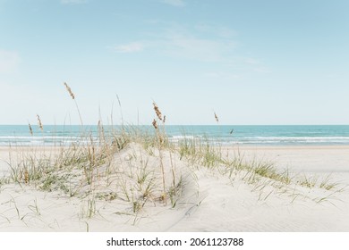 grass growing on a small sand dune at a white sand beach with the calm ocean in the background in bright and airy colors - Shutterstock ID 2061123788